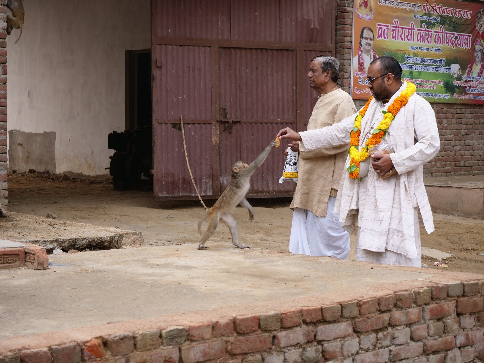  45 Gopashtami Radha kunda Govardhan 19.11.04